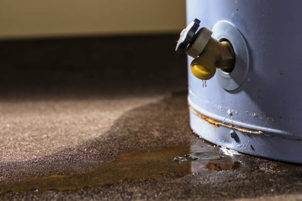 Best Residential water damage restoration  in Nicollet, MN