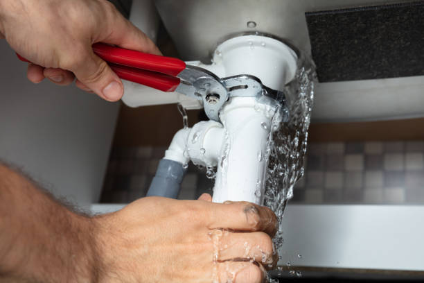 Best Water damage repair service  in Nicollet, MN