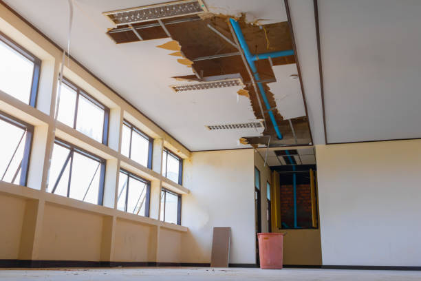 Best Basement water damage restoration  in Nicollet, MN