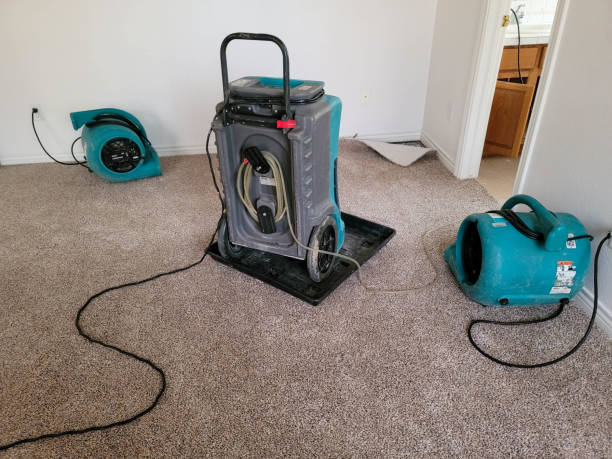 Best Water damage restoration near me  in Nicollet, MN