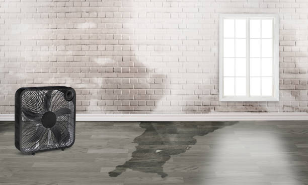 Best Residential water damage restoration  in Nicollet, MN