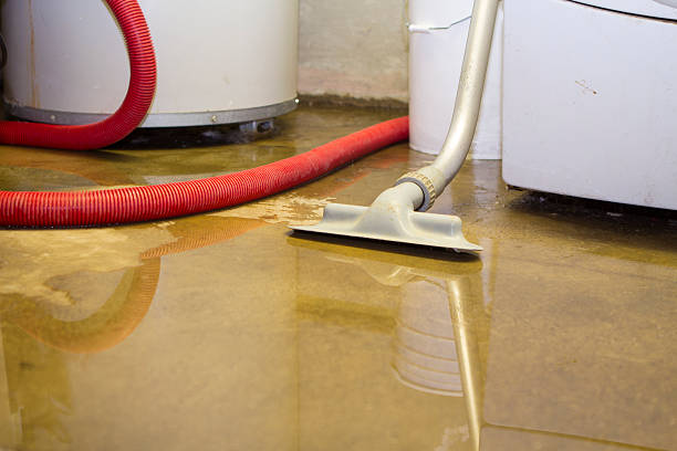 Professional Water damage restoration in Nicollet, MN